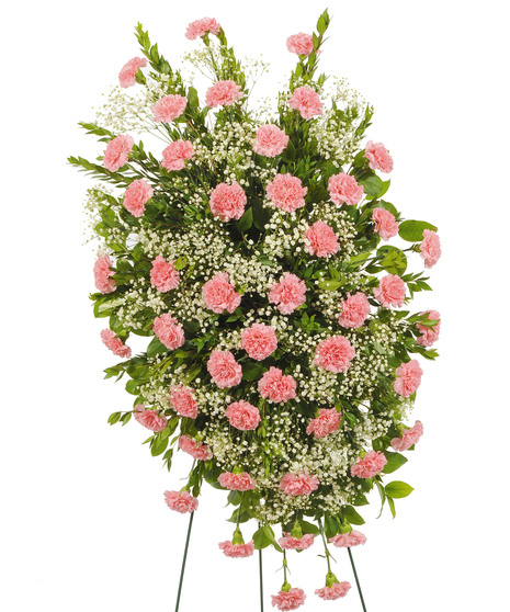 Cherish - Carnation Easel Spray