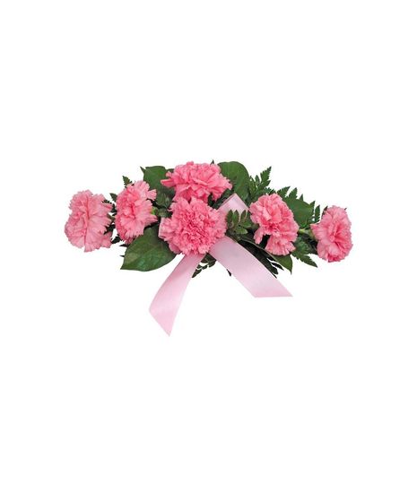 Cherish - Carnation Lid Corsage