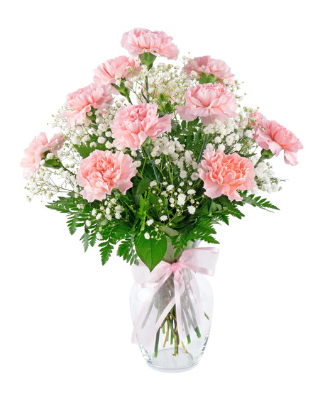 Dozen Carnations - Choose Color