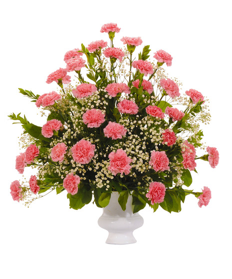 Cherish - Carnation Urn