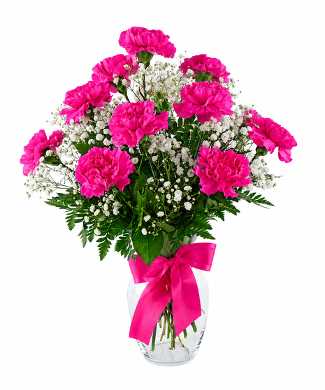 Dozen Carnations - Choose Color