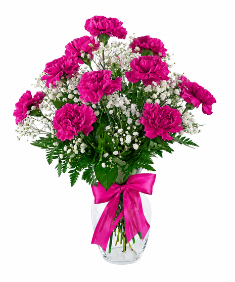 Dozen Carnations - Choose Color
