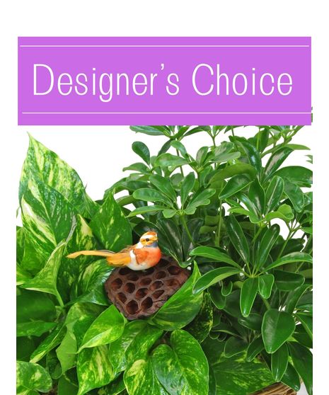 Green plants, expertly designed for you.