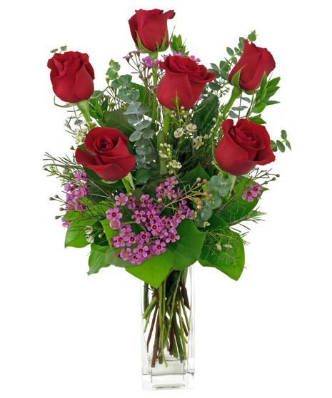 6 Roses