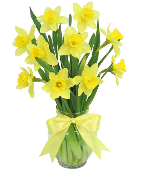 Delightful Daffodils