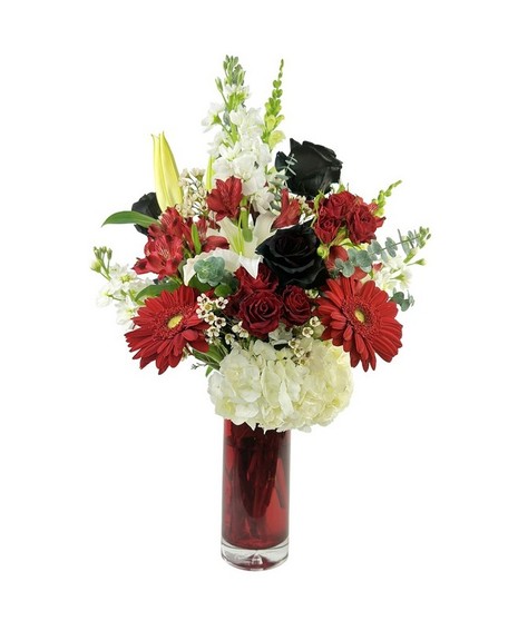 Whites, reds, blacks perfect for Valentine's Day.