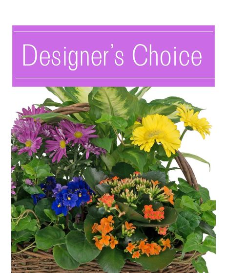 Green plants, expertly designed for you.