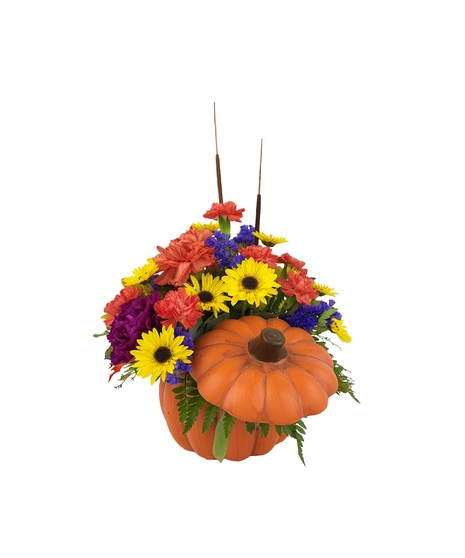 Country Pumpkin