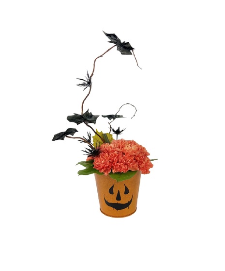 Halloween Wishes