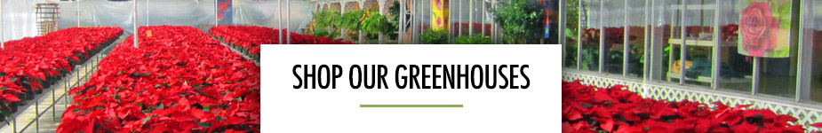 Shop Our Greenhouses